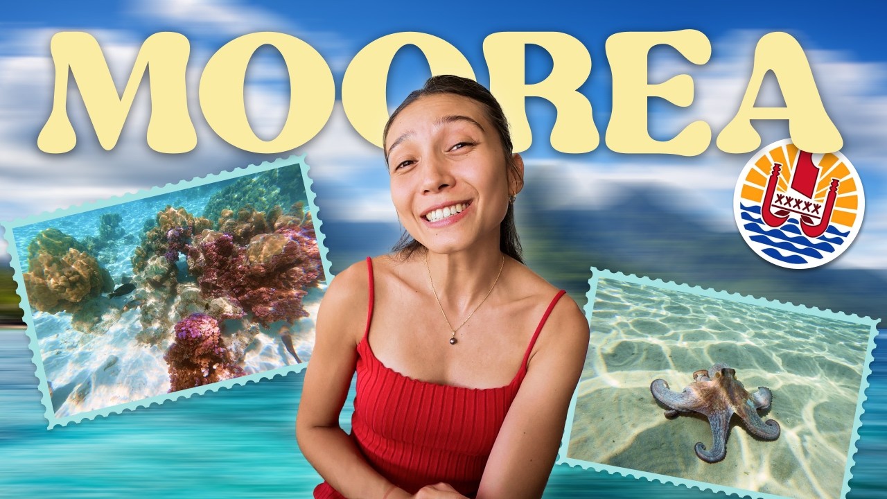 1 week-end avec moi à MOOREA ! - VLOG 1 (une pieuvre et des coraux violets...)