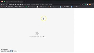 How to Enable and Allow Adobe Flash Player in Google Chrome