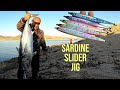 Shore Jigging: A MONSTER Albacore Broke my record AGAIN! Feat: Sardine Slider! EXTREME FIGHT!