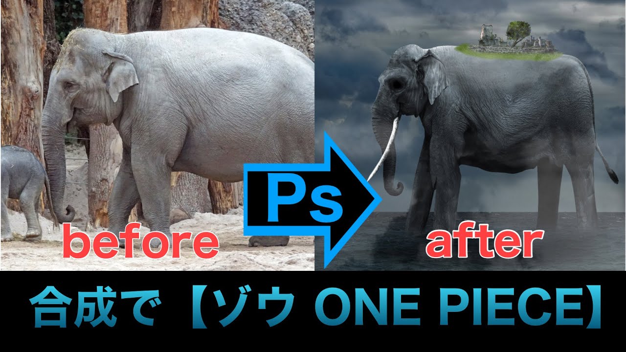 Photoshop 合成studio ゾウ 象主 ワンピース Onepiece Youtube