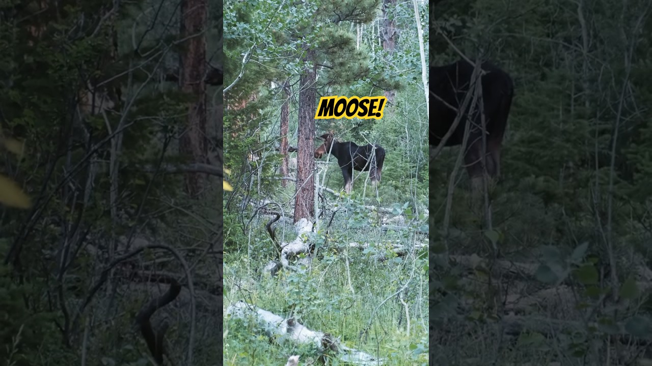 Hiking in the Utah backcountry  