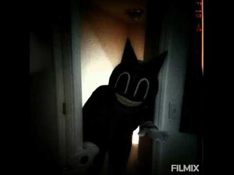 Как выглядит в реальной жизни cartoon cat