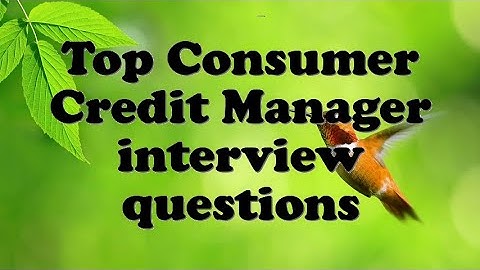 Top Consumer Credit Manager interview questions