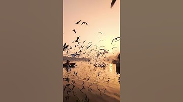 سورة التوبه الاية (104) للقارئ الشيخ سعد الغامدي