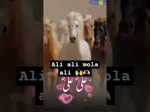 ALi yaali mola ali ♥️ ❤️/shorts viral video/#islamicvideo #reels #muharram #imamqasim