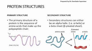 Chapter 2.3: Biological Molecules - Proteins