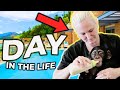 DAY IN THE LIFE OF A BABY CHIMPANZEE! *Cute*