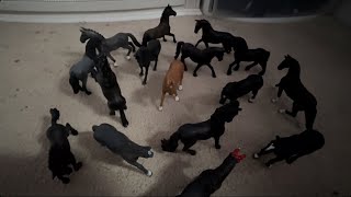 Schliech horse music video (Funeral-by Neoni)
