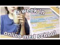 SKINCARE ROUTINE + online med school (UST MED)