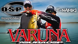 Big Fish LOVE This JAPANESE Jerkbait And Here's Why You Should To!!! O.S.P Varuna Breakdown!!