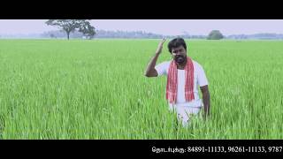 Gold Farm Solar Water Pump for Agriculture