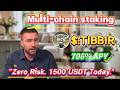 No-Risk TIBBIR Staking: Achieve 706.41% Annual Yield Easily! The Simplest Mining Guide