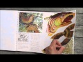 Amazing international gcse art sketchbook natural forms