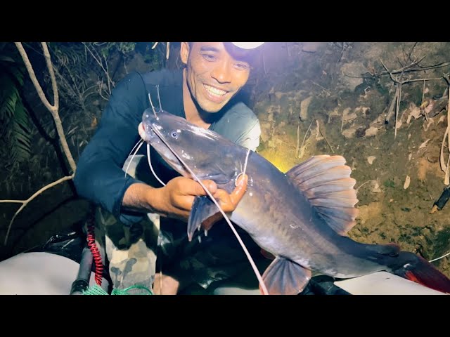 Bắt Được Cá Lăng Đuôi Đỏ Lớn Ở Sông Đồng Nai | Series Đi Rừng P9 BUSHCRAFT fishing class=