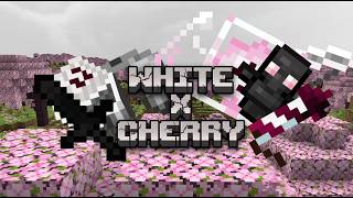 The only white pvp texturepack you will ever need...