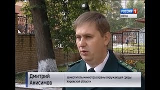 Охотничьи собаки, волки и охотники. Кировская область. 14.09.2018 Охотничьи собаки, волки и охотники. Кировская область. 14.09.2018
