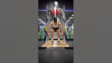 Barbell Row Grip Widths & Muscles Worked