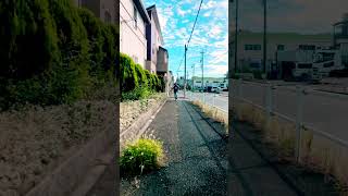 Second Usain Bolt Max 45Kph For You