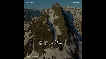 تلاوة خاشعة وبديعة من القارئ ماجد العقل