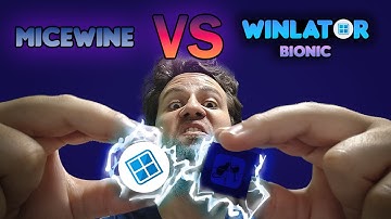 WINLATOR VS MICEWINE - PERFORMANCE COMPARISON