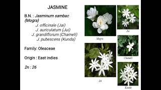 HORT - 354 Cultivation practices of Jasmine