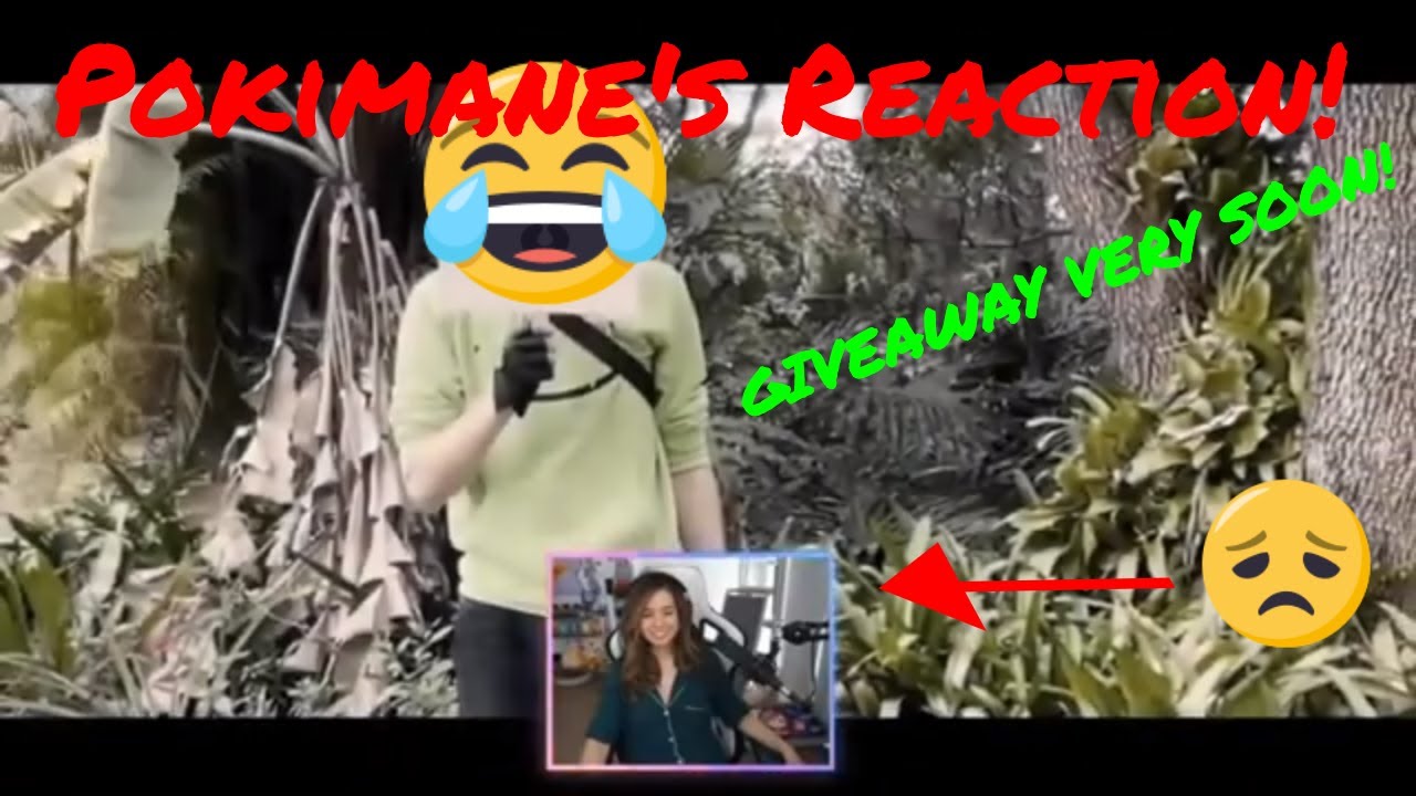 pokimane-reacts-to-dream-s-face-reveal-super-sad-youtube
