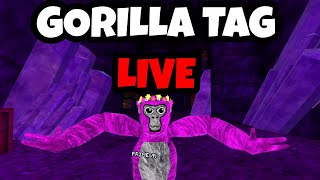 🔴 GORILLA TAG WITH YOU LIVE 🔴