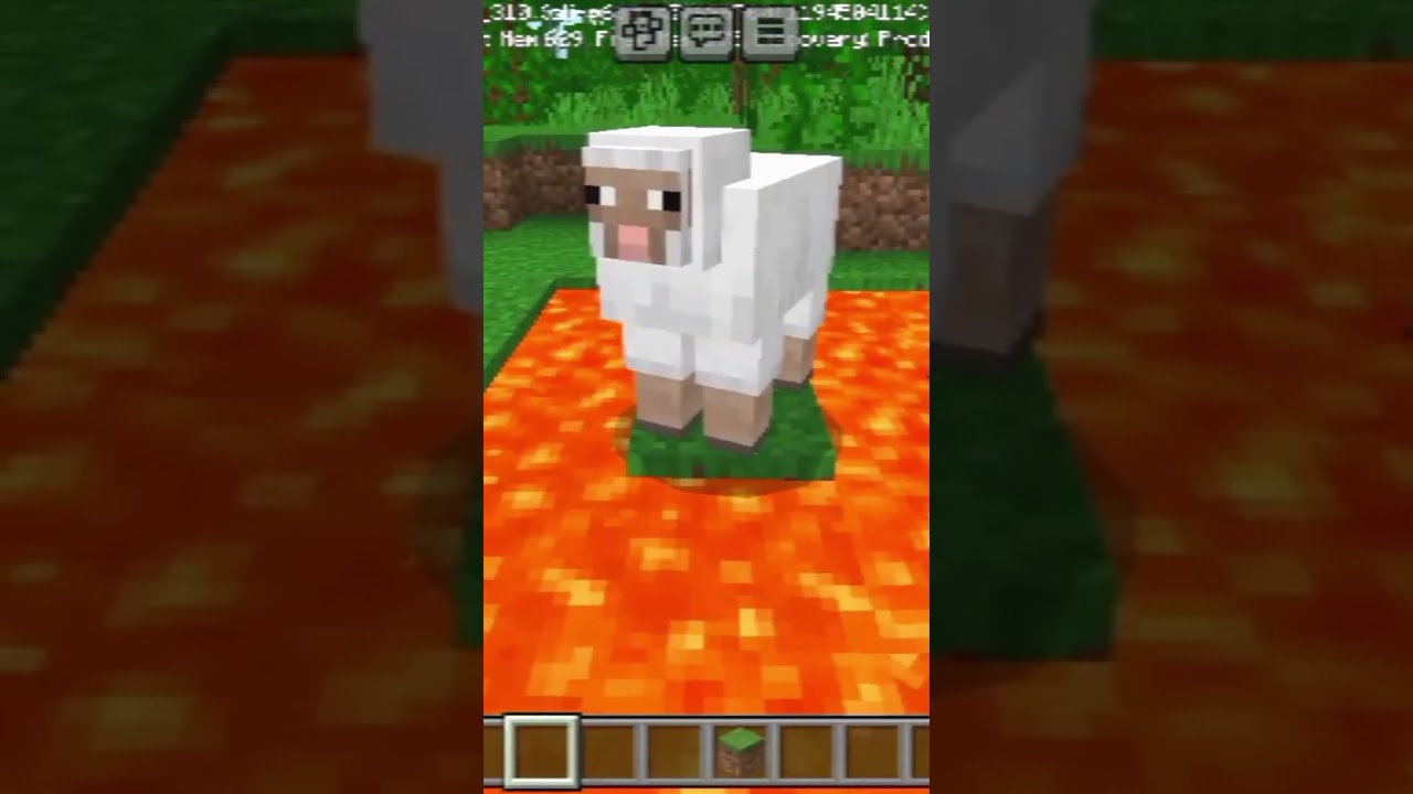 Minecraft Crazy Sheep: How to play viral Minecraft minigame on TikTok -  Dexerto