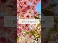 ✨Reiki for pain✨ #reiki #pain #painrelief #relax #calm Find reiki therapy near you: reikifed.co.uk