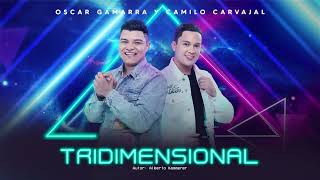 Video thumbnail of "Tridimensional - Oscar Gamarra y Camilo Carvajal"