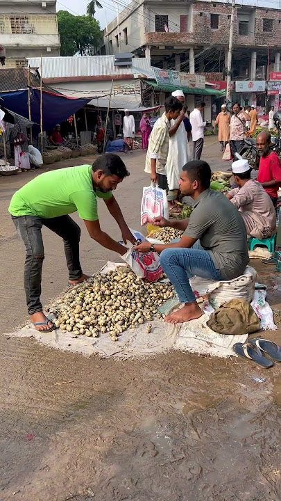 Download lagu Hidden treasure found under taro! π€π