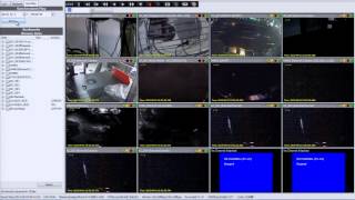 Genius Vision NVR: How to perform synchronize playback?