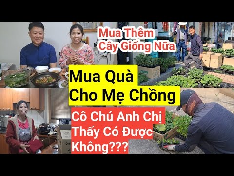 Review Top 10 Công ty Xuất Khẩu Lao Động Hàng đầu ở Tỉnh Kiên Giang: Lựa chọn Thông thái cho Người Lao Động