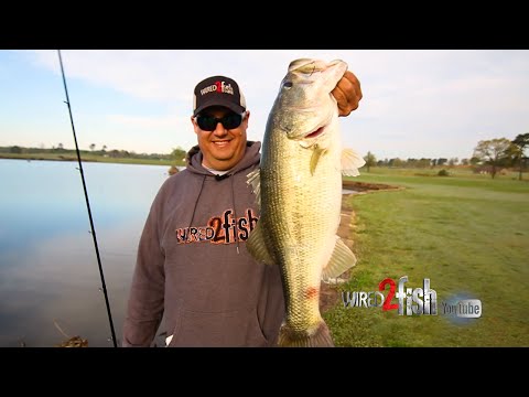 Keep Bank Fishing Simple for More BIG BASS like these! 