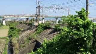 【東海道本線貨物列車/豊川放水路橋梁】5091レ EF66-30牽引