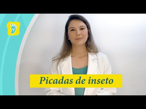 Picadas de inseto