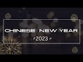 Chinese New year 2023 in Malaysia 🇲🇾. Backpackers