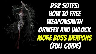 How to get Fang Key and free Ornifex (DS2 SOTFS)