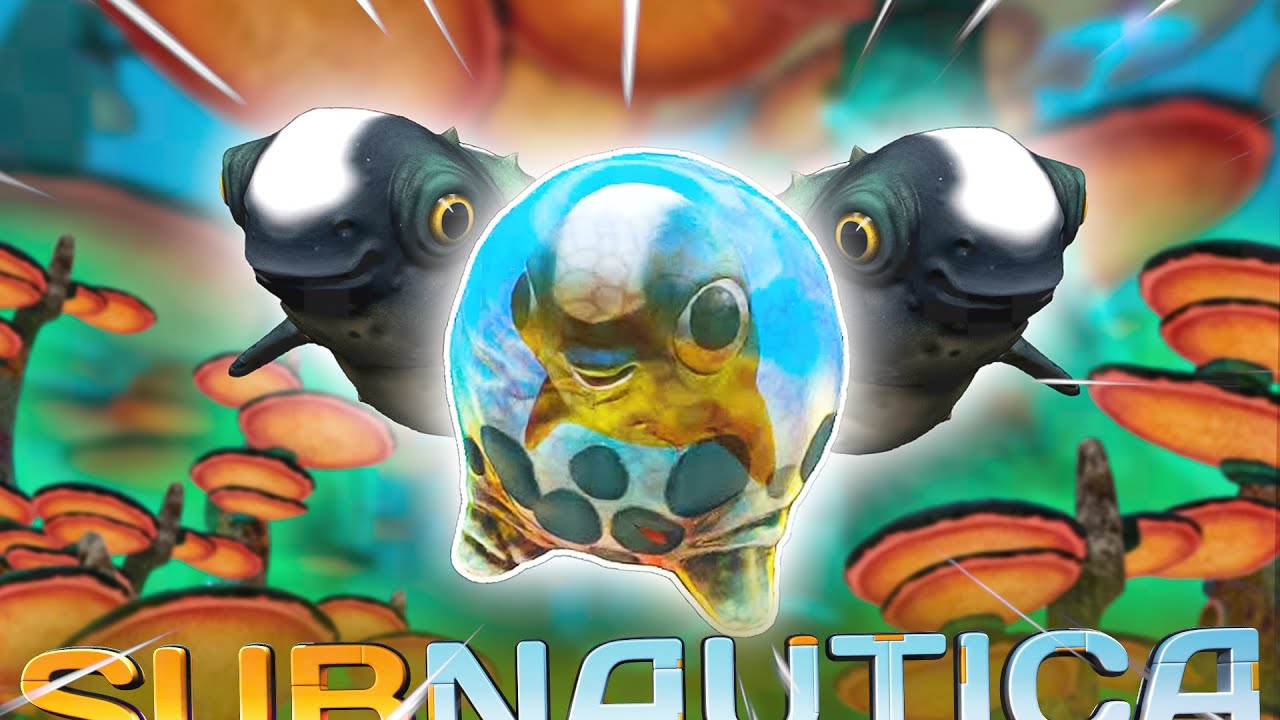 Voil L emplacement Du 5 me C LINEUR Subnautica YouTube voil-l-emplacement-du-5-me-c-lineur-subnautica-youtube