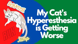 Feline Hyperesthesia syndrome Getting Worse