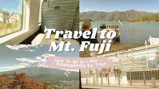 Travel from Tokyo to Mt. Fuji with me