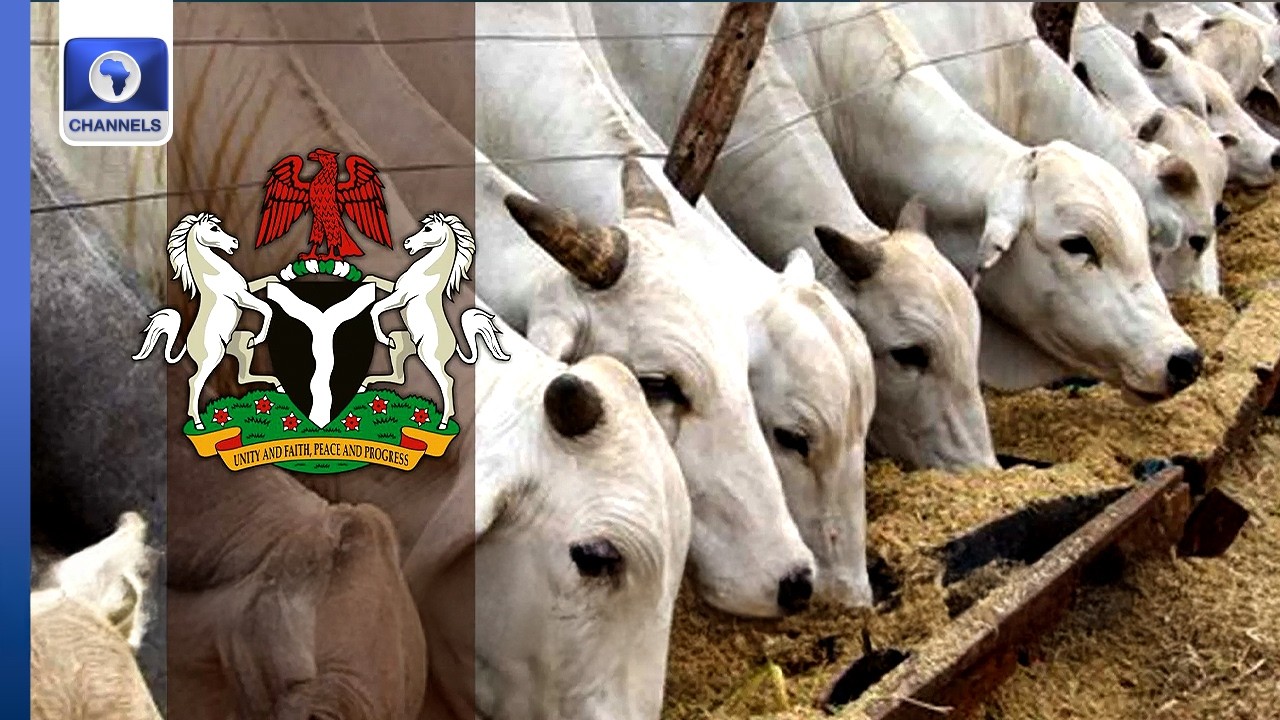 Benue State Govt Launches 4-Year Strategic Plan For Peace