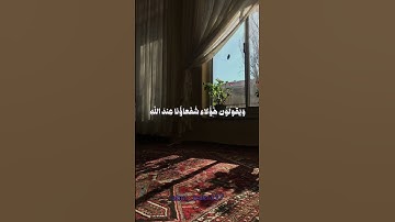 ويعبدون من دون الله ما لا يضرهم ولا ينفعهم - القارئ علي جابر