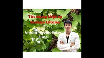 Thuốc bổ não Ginkgo biloba có giúp cải thiện trí nhớ? | Dược sĩ Duy