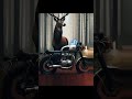 #hybridanimals #hybridanimalsplusbike #animals #animalevedio