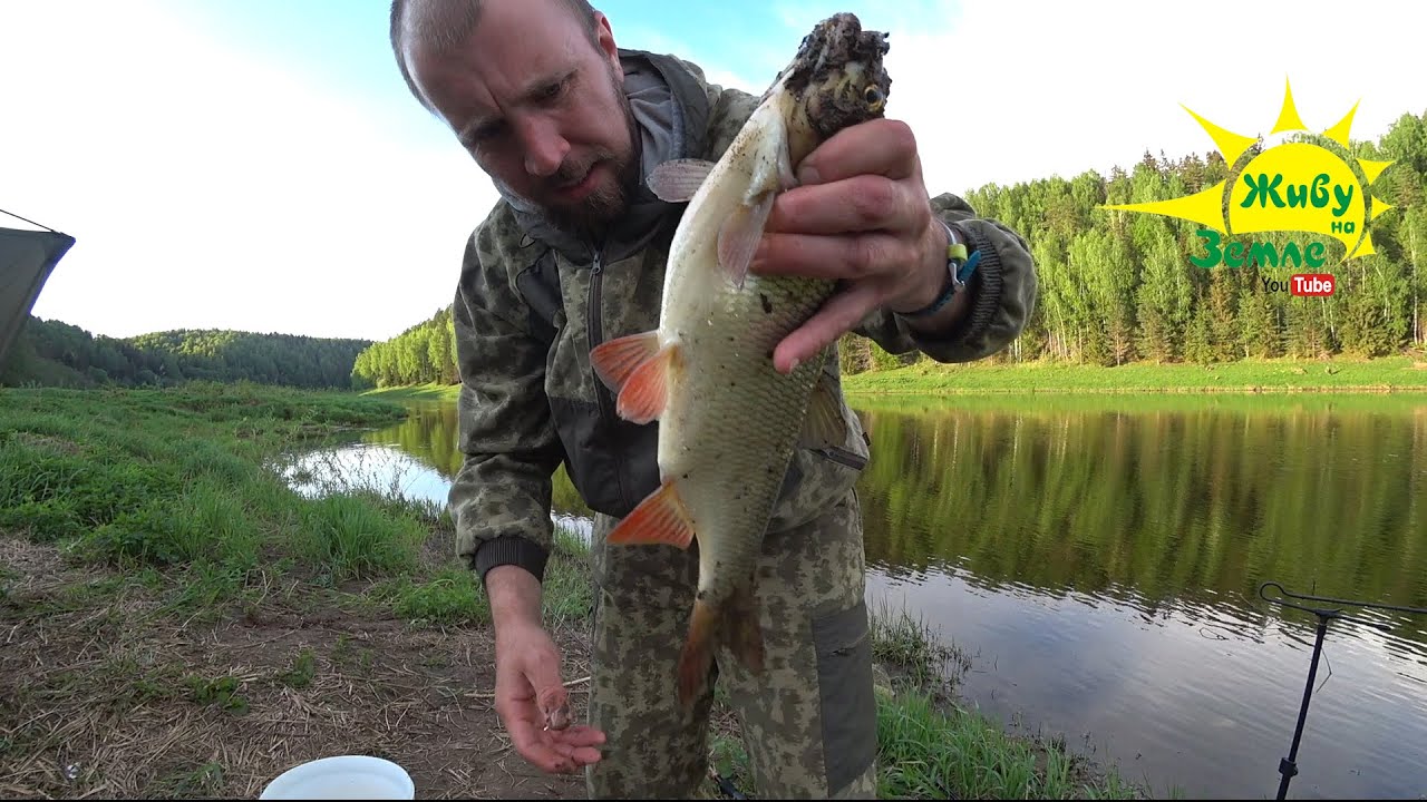 рыбалка на течение видео