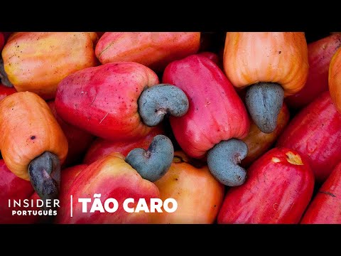 Vídeo: Colheita de Castanha de Caju - Como e Quando Colher Castanha de Caju