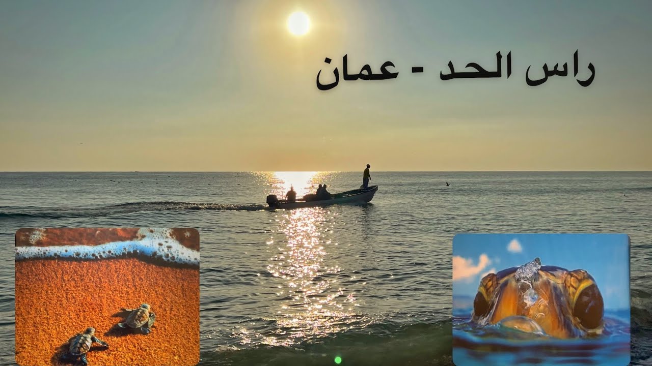 ( 173 ) رحلة إلى رأس الحد ، راس الجنز محمية السلاح سلطنة عمان 12/2023 الجزء 3