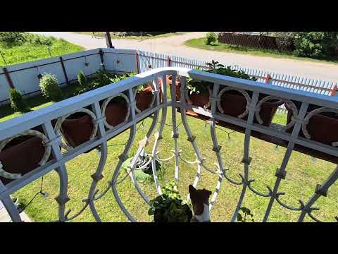 Balcony Flower Planter Review. 2026
