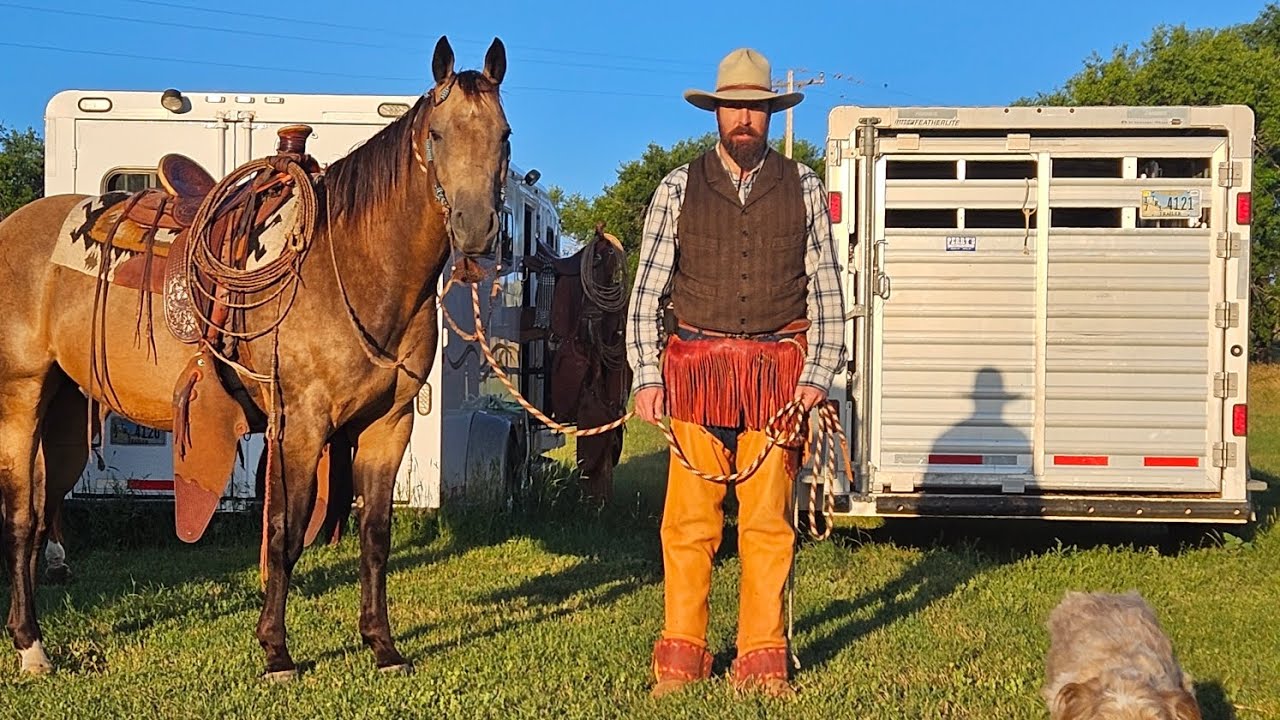 Gathering fence jumping cattle and branding their calves. YouTube